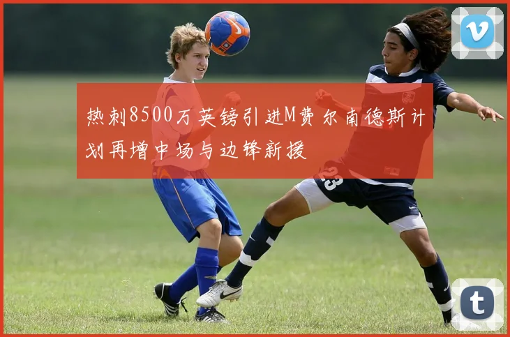 热刺8500万英镑引进M费尔南德斯计划再增中场与边锋新援